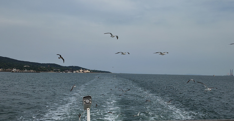 tiktok出海助力艾惟多:全球工程门窗批发的理想选择